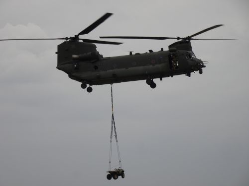 Chinook