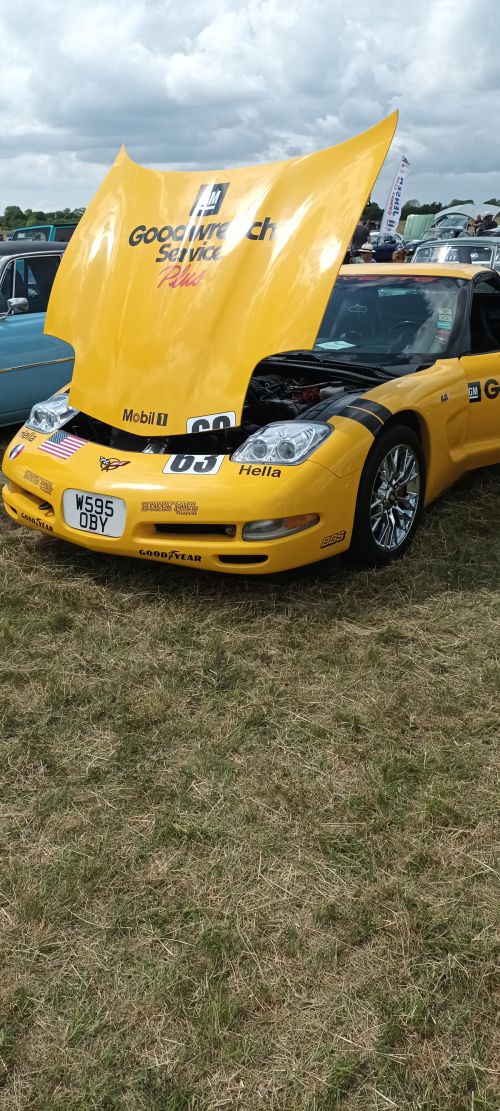 pro-B9ogJscF