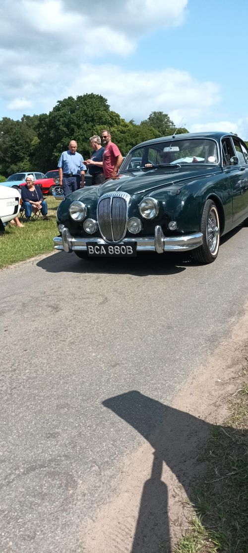 pro-sDUPFpZ6